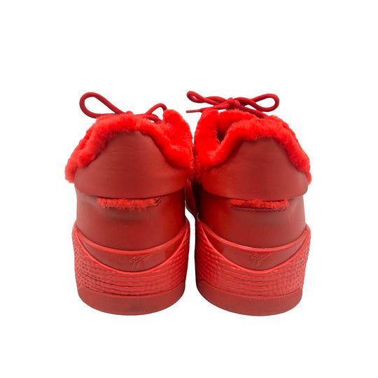 Tenis Giuseppe Zanotti T.42