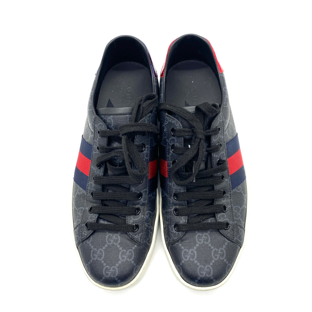 Tenis Gucci Ace T.8 UK