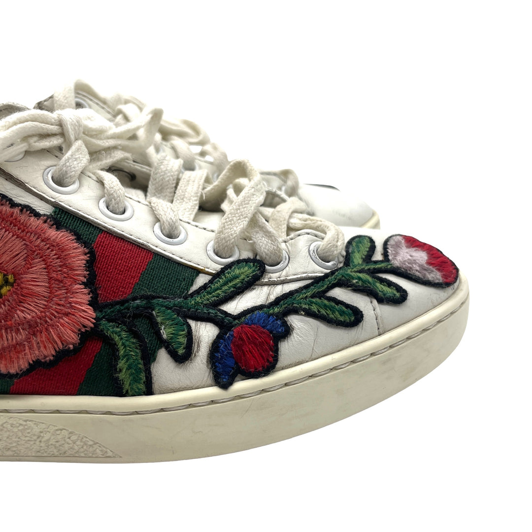 Tenis Gucci Ace T.34.5