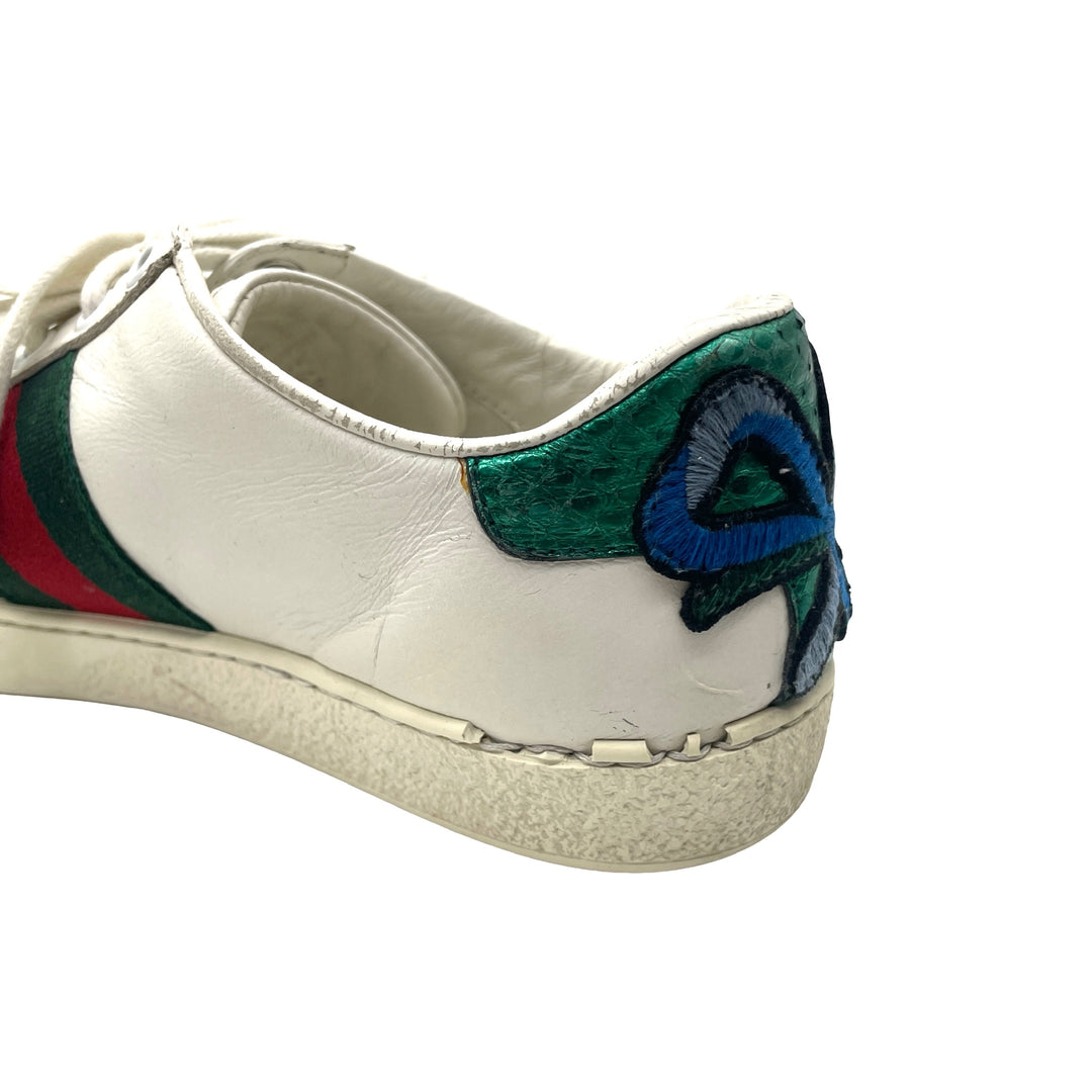 Tenis Gucci Ace T.34.5