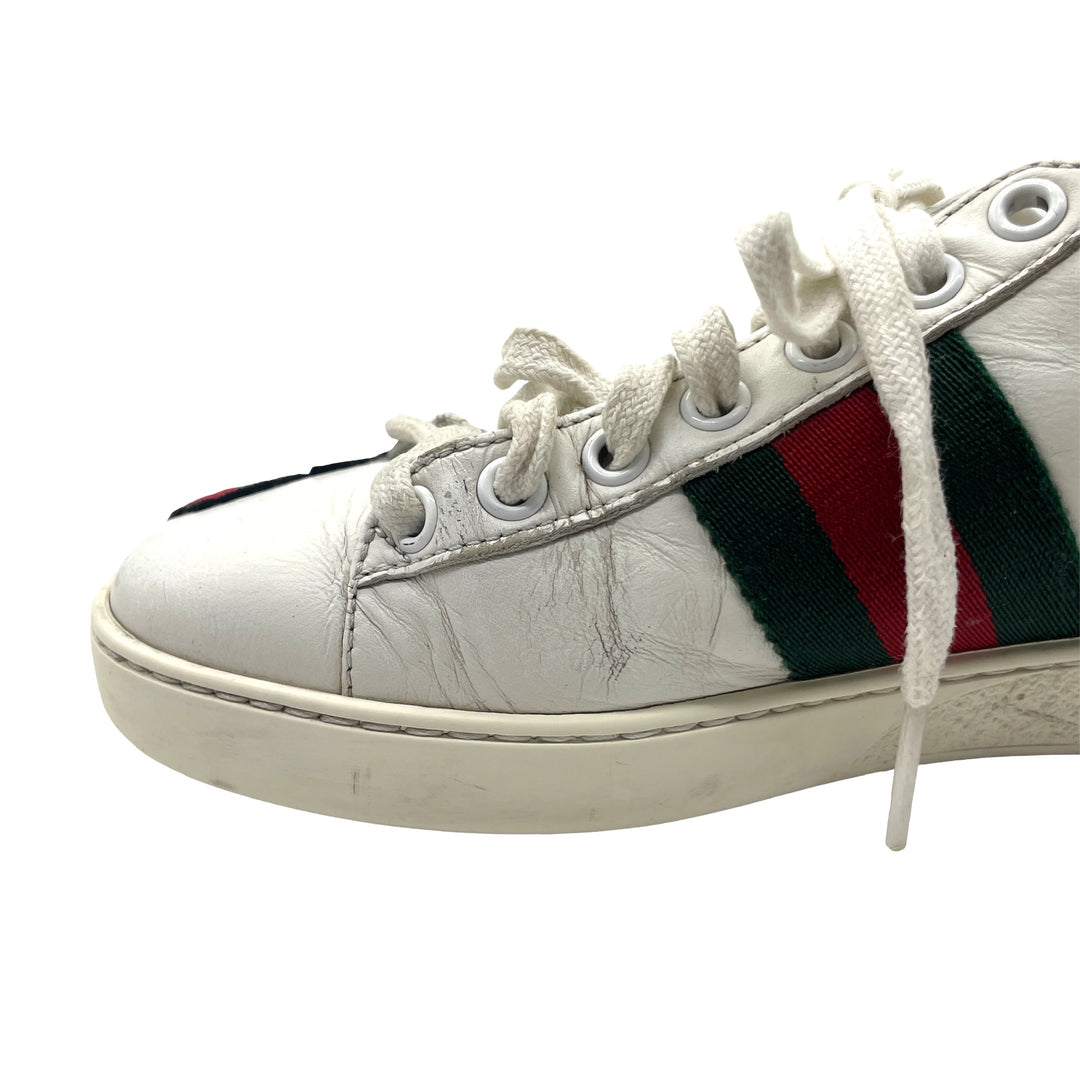 Tenis Gucci Ace T.34.5