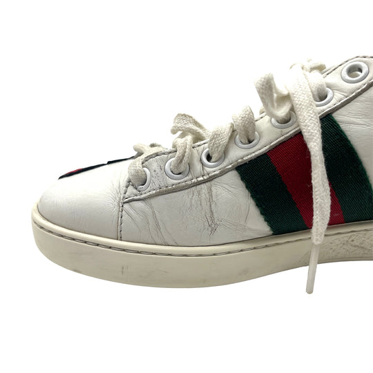Tenis Gucci Ace T.34.5