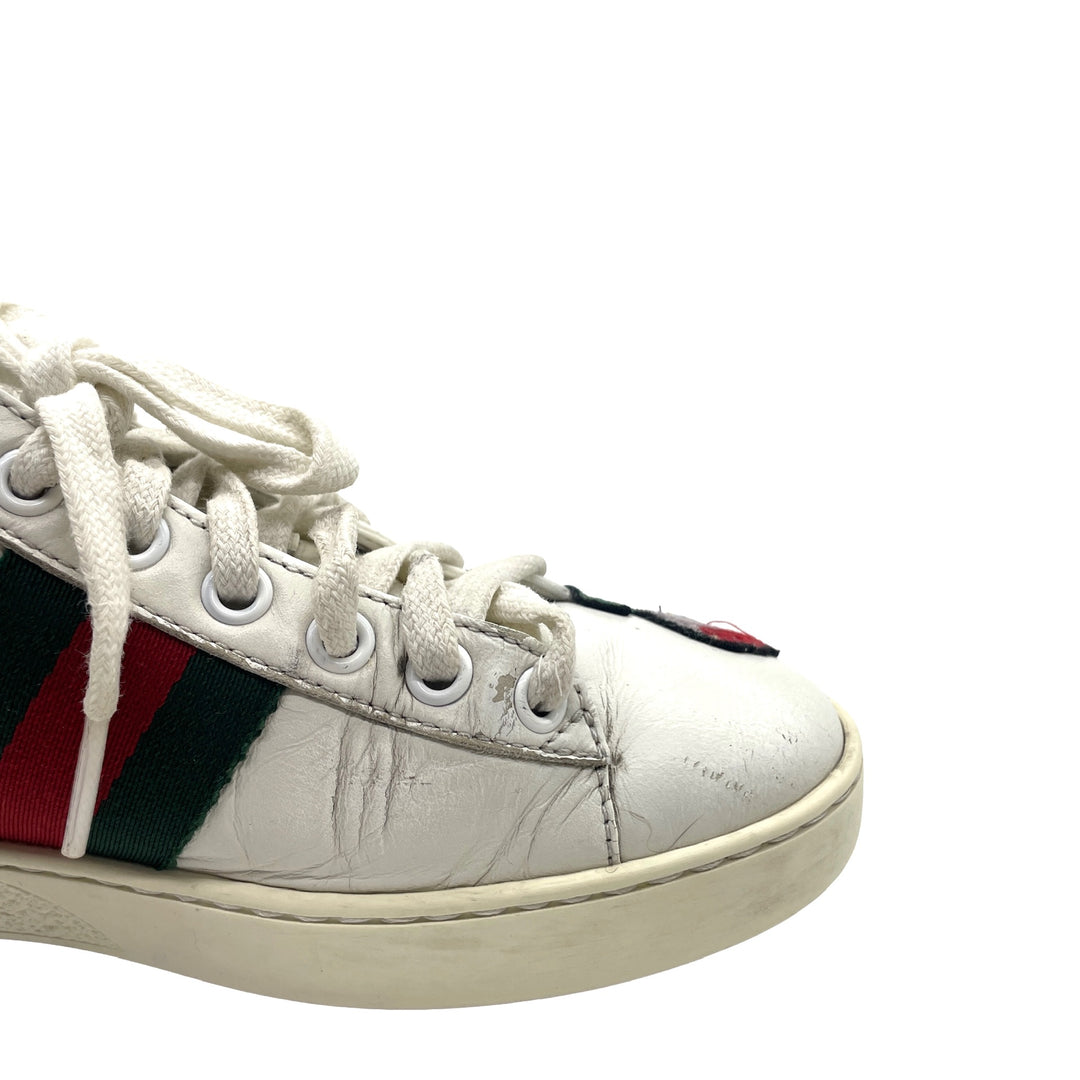 Tenis Gucci Ace T.34.5