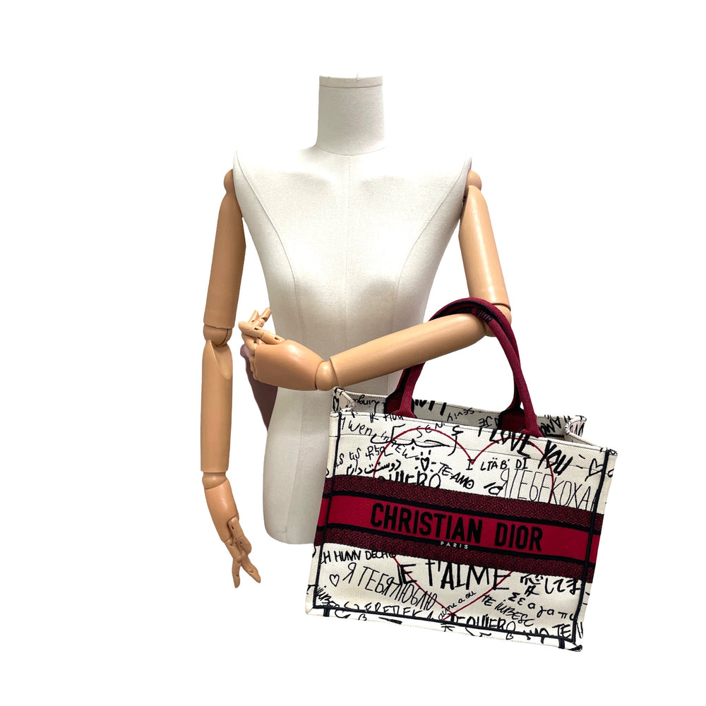 Bolsa Dior Medium Book Tote