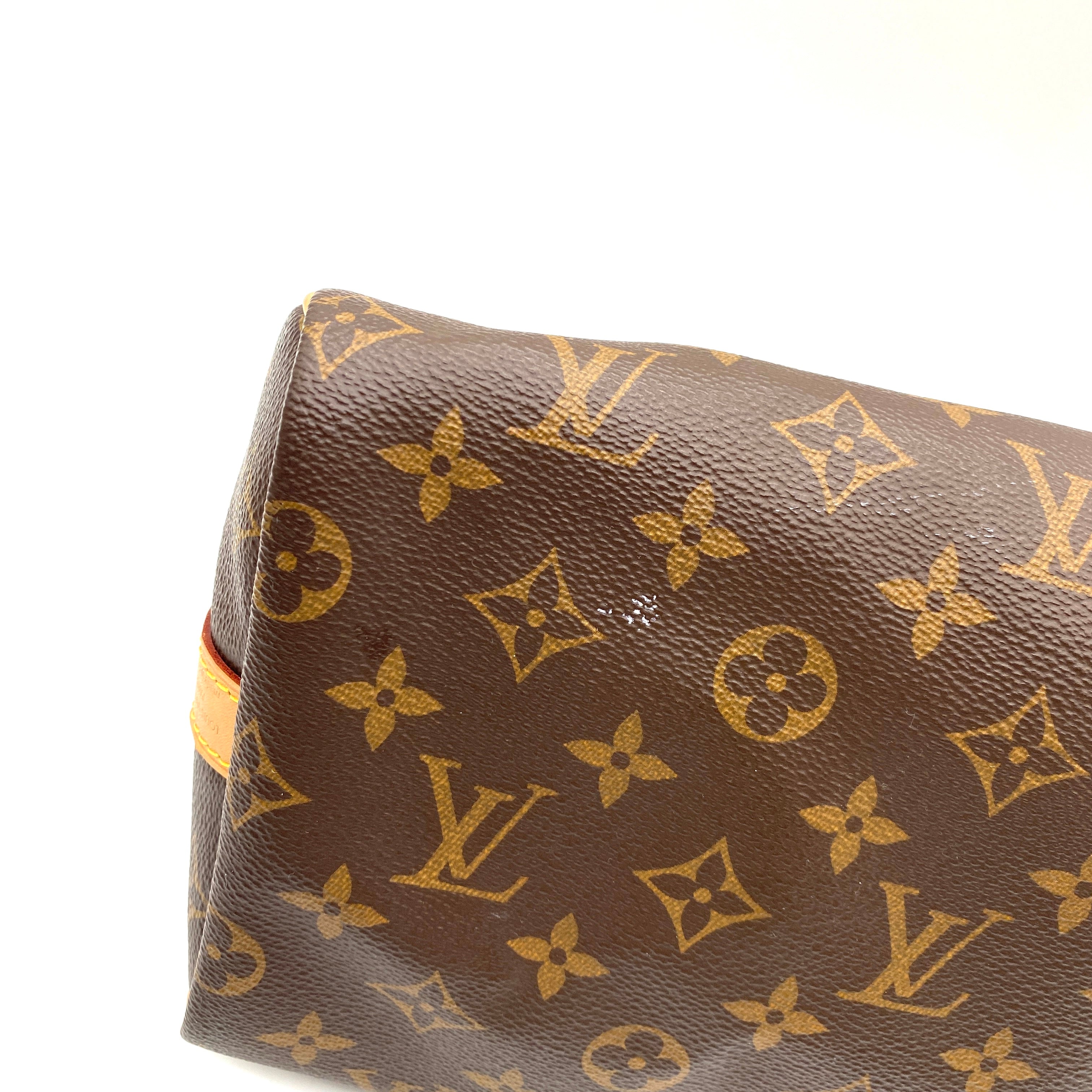 Bolsa Louis Vuitton Speedy 25