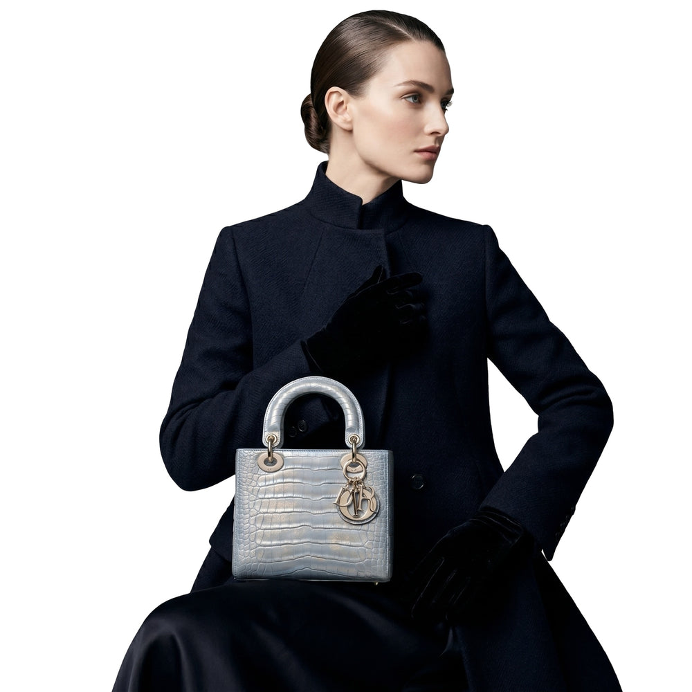 Bolsa Lady Dior