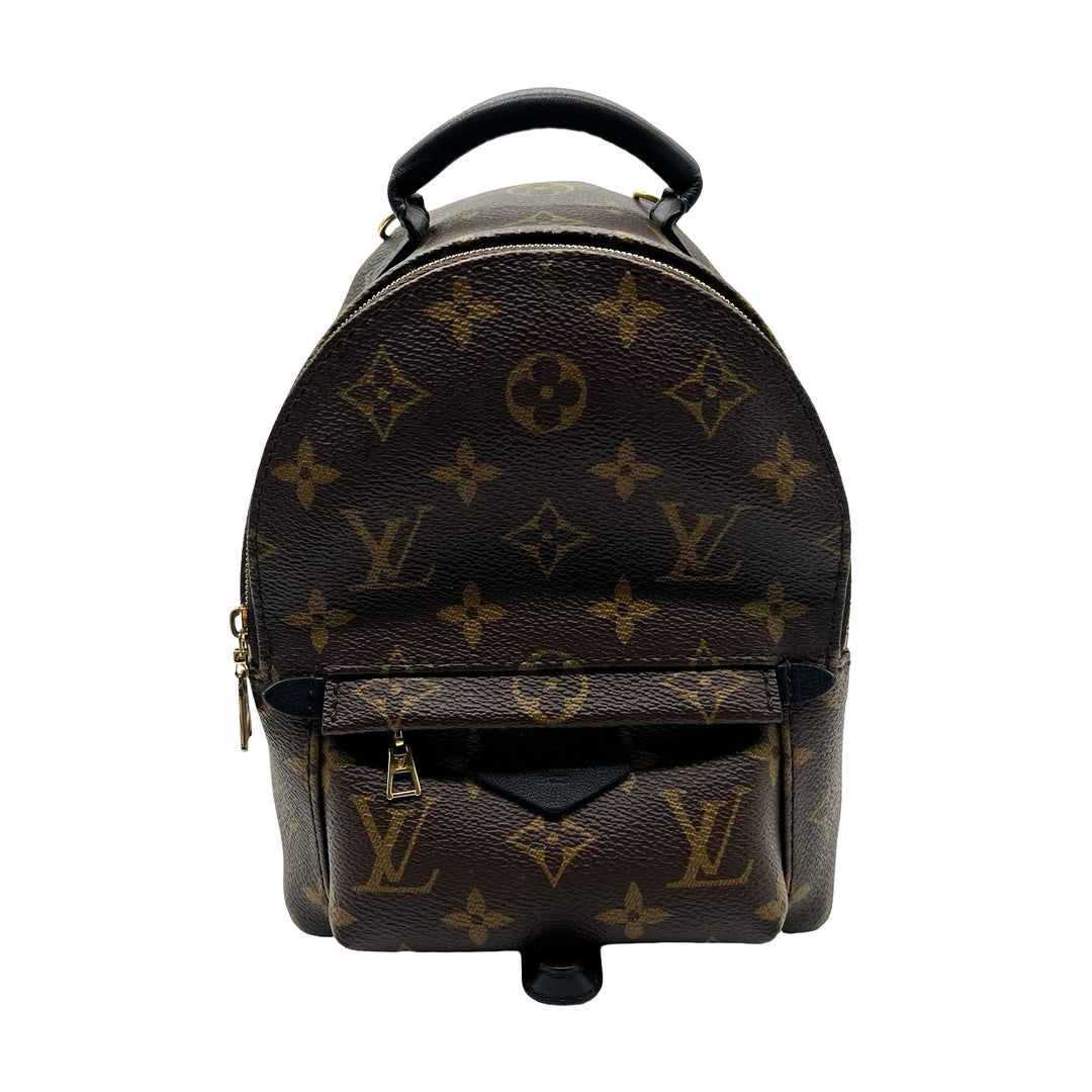 Mochila Louis Vuitton Palm Springs Mini