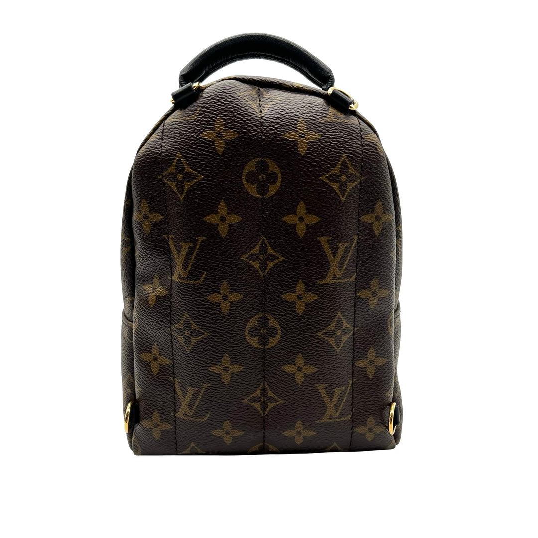Mochila Louis Vuitton Palm Springs Mini