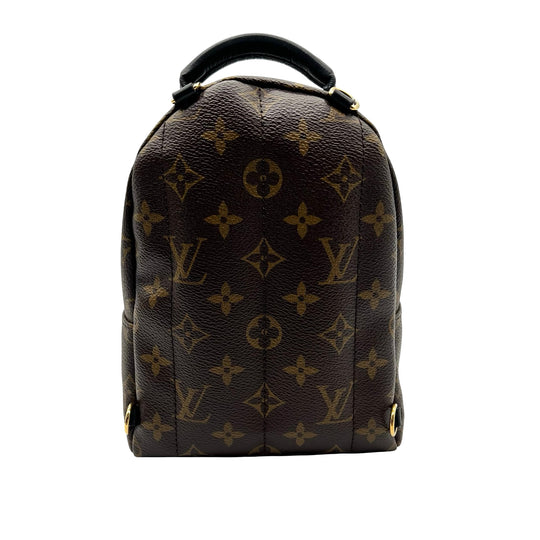Mochila Louis Vuitton Palm Springs Mini