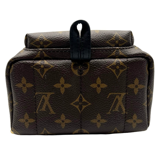 Mochila Louis Vuitton Palm Springs Mini