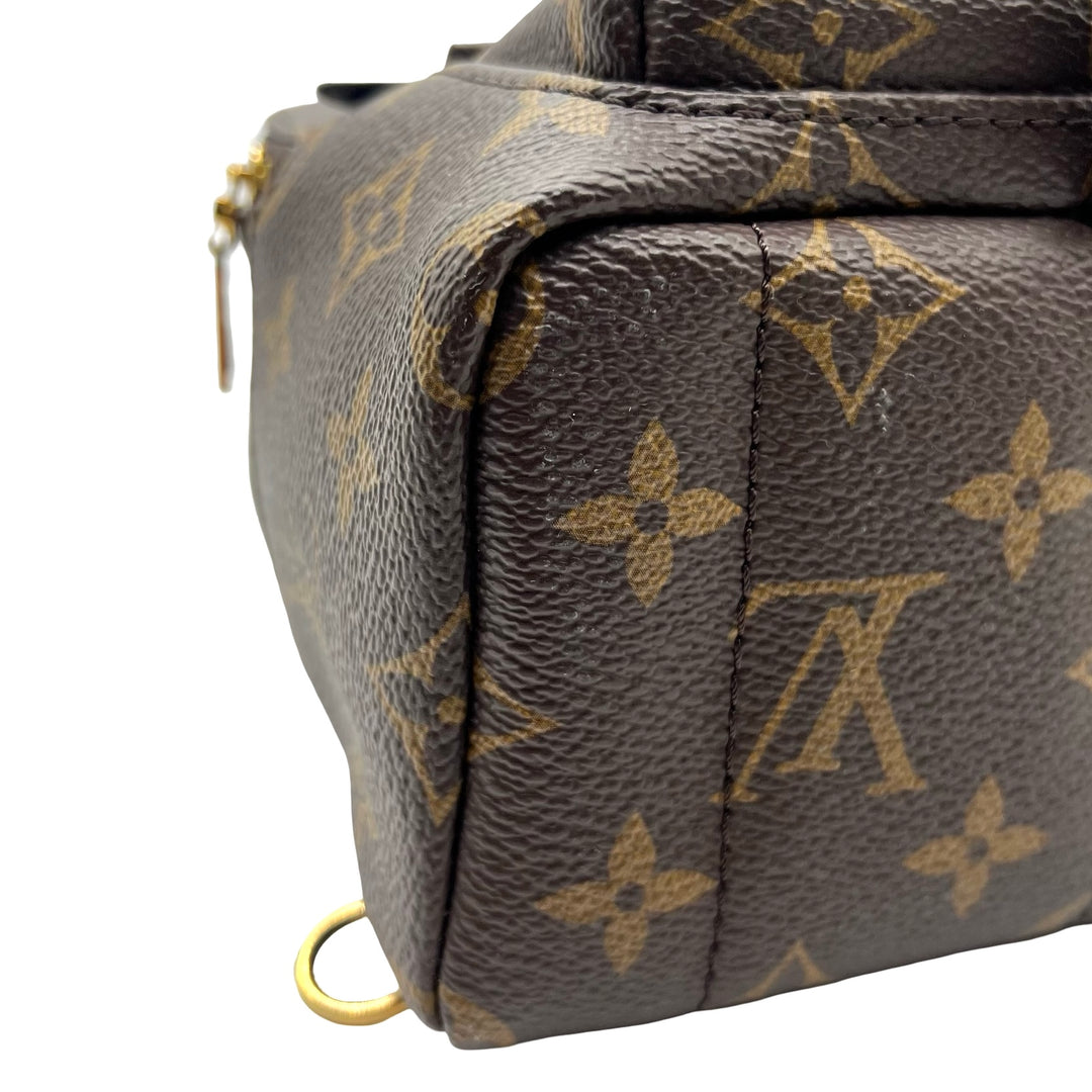 Mochila Louis Vuitton Palm Springs Mini