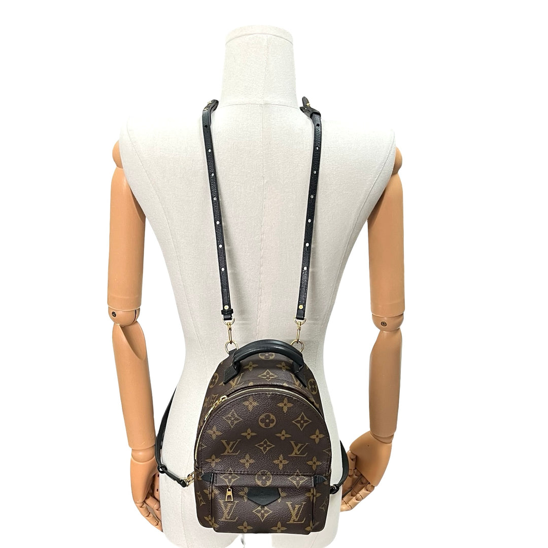 Mochila Louis Vuitton Palm Springs Mini