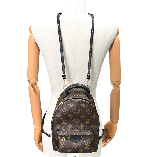 Mochila Louis Vuitton Palm Springs Mini