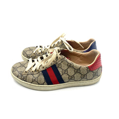 Tenis Gucci Ace T.36