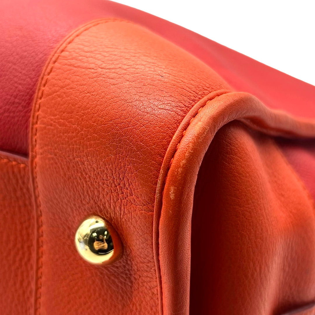 Bolsa Loewe Amazona 36