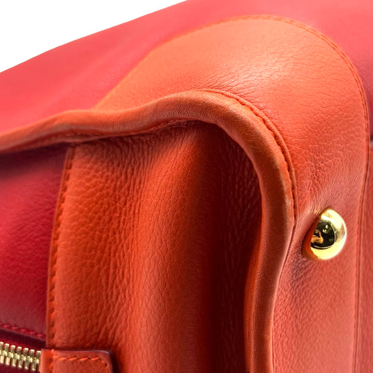 Bolsa Loewe Amazona 36