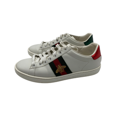 Tenis Gucci Ace T.36.5
